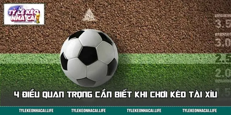 4 điều quan trọng cần biết khi chơi kèo Tài Xỉu